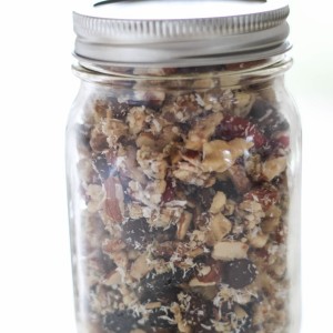 the best paleo granola recipe fitnessista.com