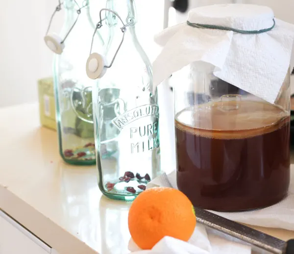 The Kombucha Fermentation Process