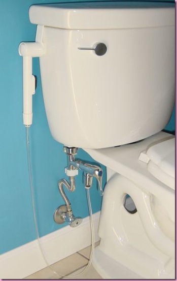 mini-shower-toilet