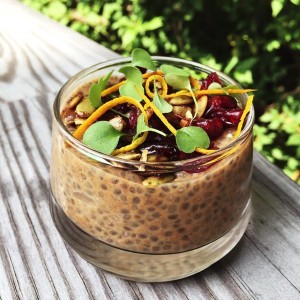 Pumpkin spice chia pudding www.fitnessista.com